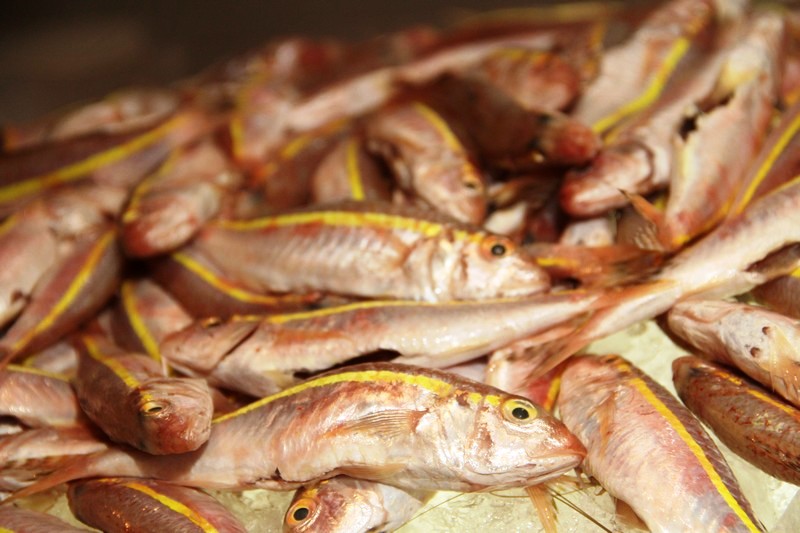 Seafood Night at Mosaic